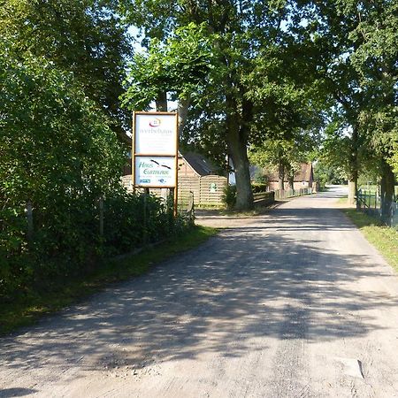 Haus Elbtalaue Lägenhet Bleckede Exteriör bild